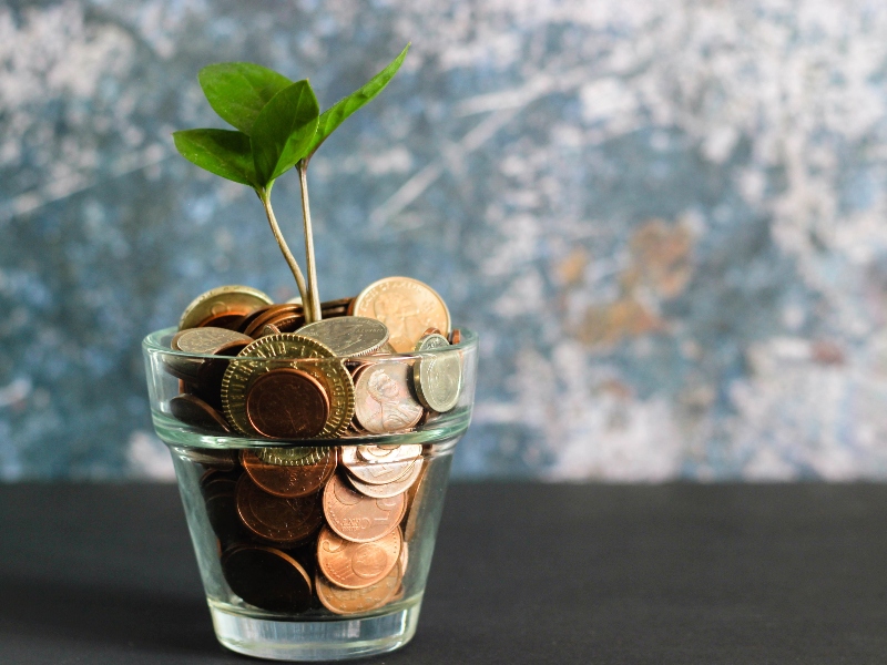 Planta dentro de una vaso de vidrio con monedas.