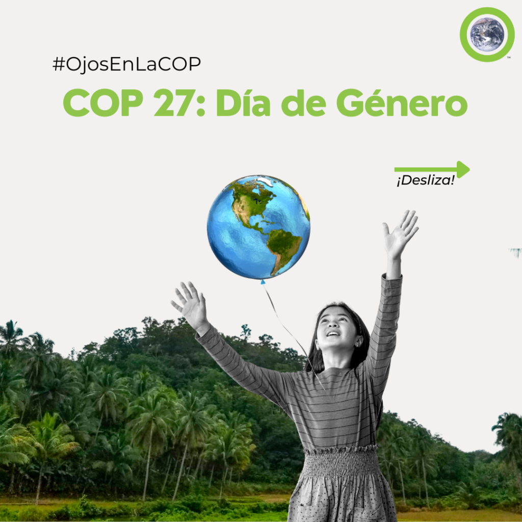 Día de género en la COP27