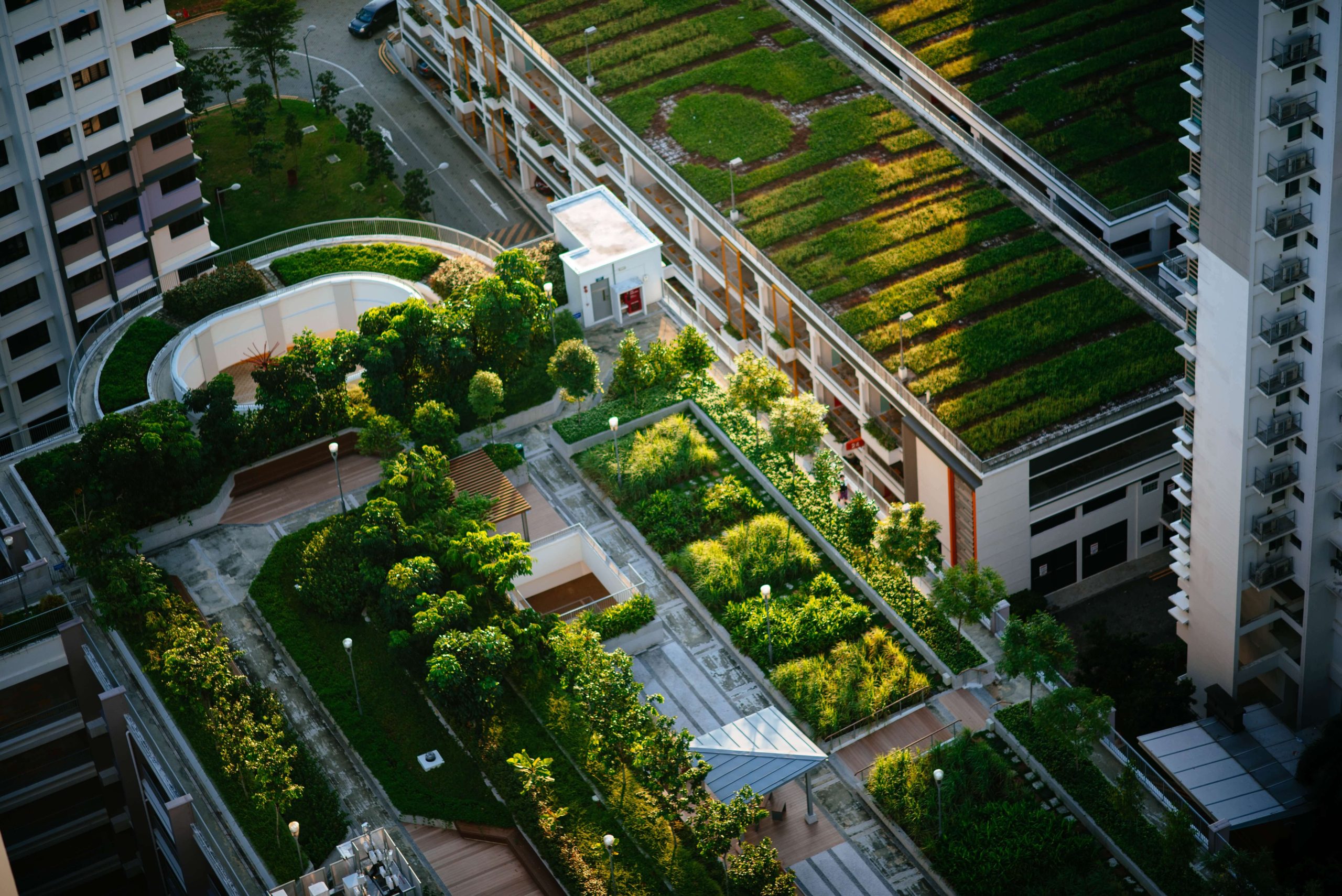 Ciudad_Verde_Carrusel