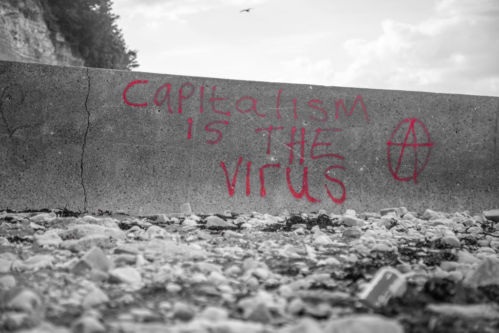 Imagen que ilustra la idea principal del ecofeminismo. En una banqueta de concreto hay una pinta en inglés que dice: El Capitalismo es el virus. Imagen que ilustra la idea principal del ecofeminismo. En una banqueta de concreto hay una pinta en inglés que dice: El Capitalismo es el virus.