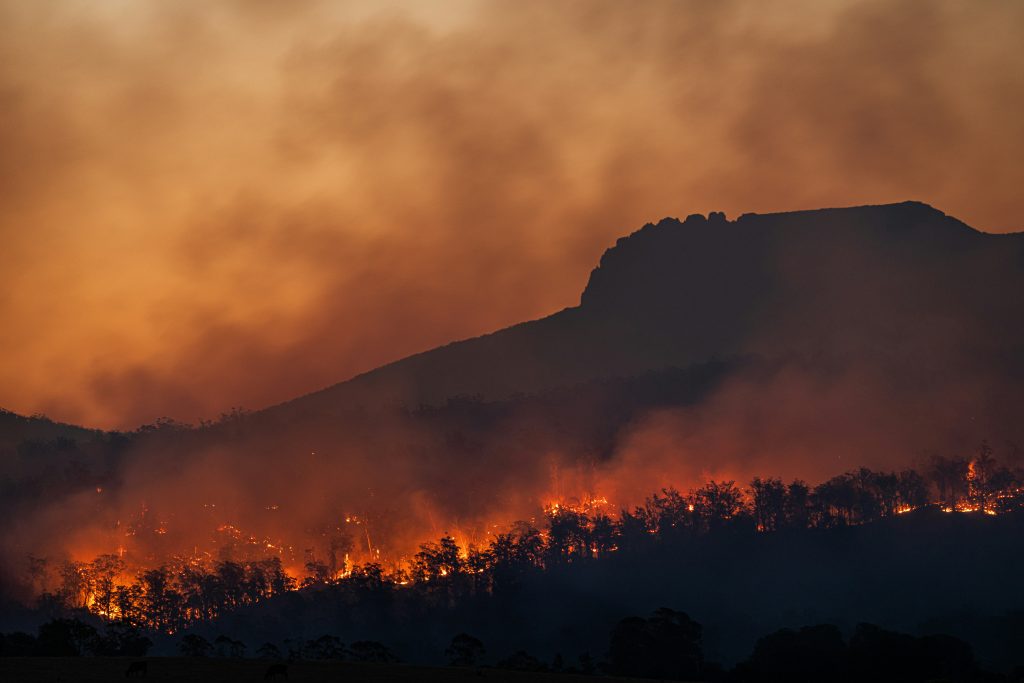 Imagen que ilustra como sin ecofeminismo hay degración del planeta. En la fotografía se ve un bosque completamente incendiado y devastado. Imagen que ilustra como sin ecofeminismo hay degración del planeta. En la fotografía se ve un bosque completamente incendiado y devastado.